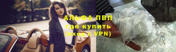 прущая мука Арсеньев